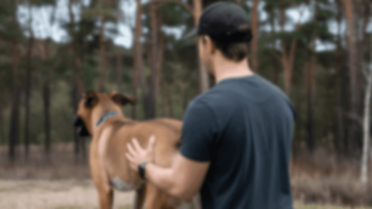 Hundephysiotherapie-Bad-Hindelang
