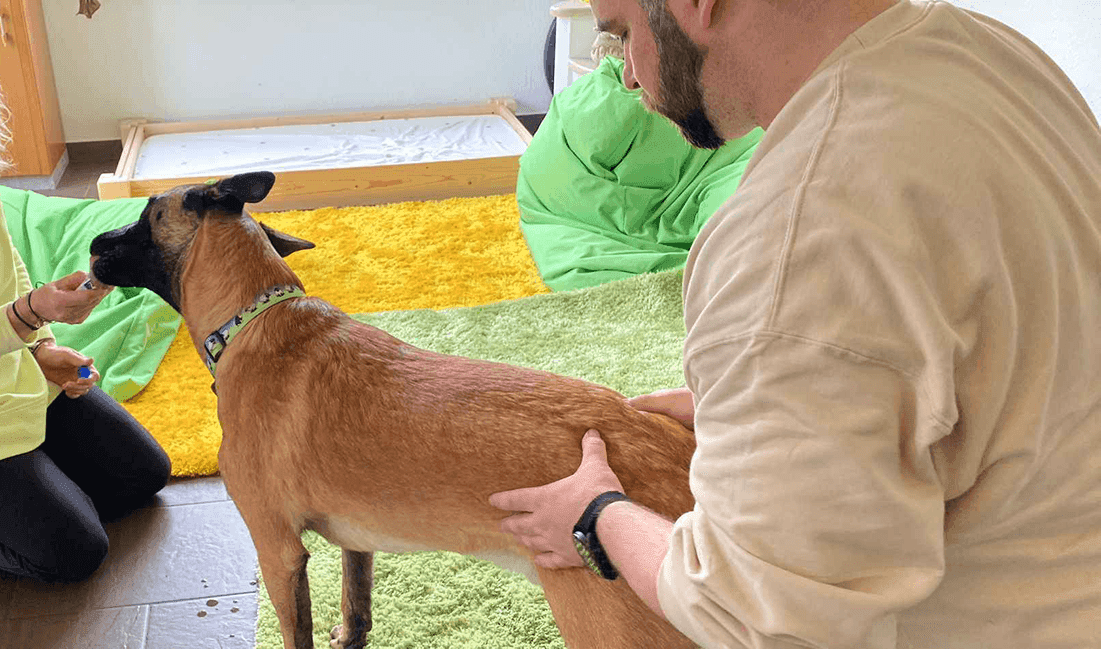 Titelbild_Leistungen